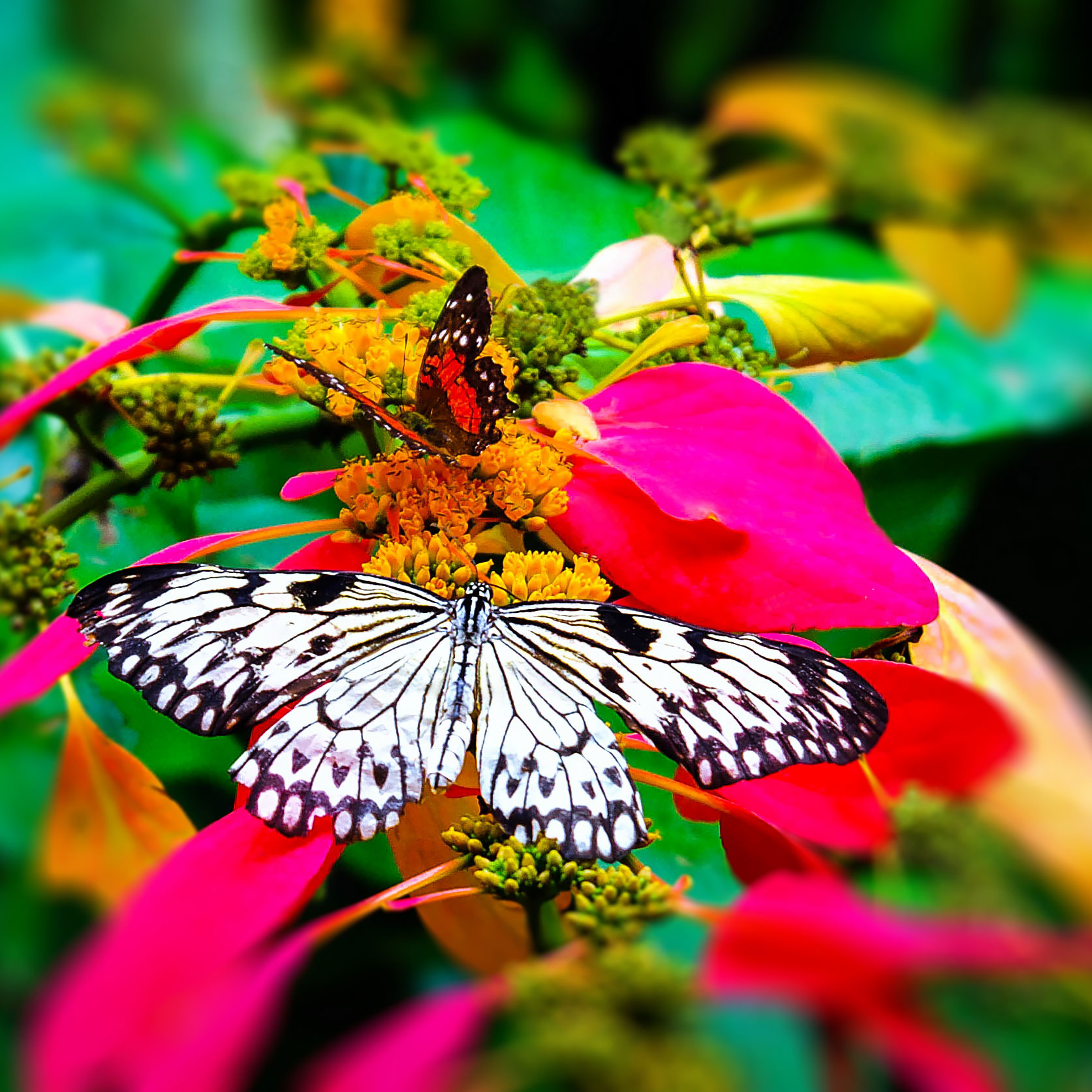 Beginning Photography February 25 only 3 seats left!