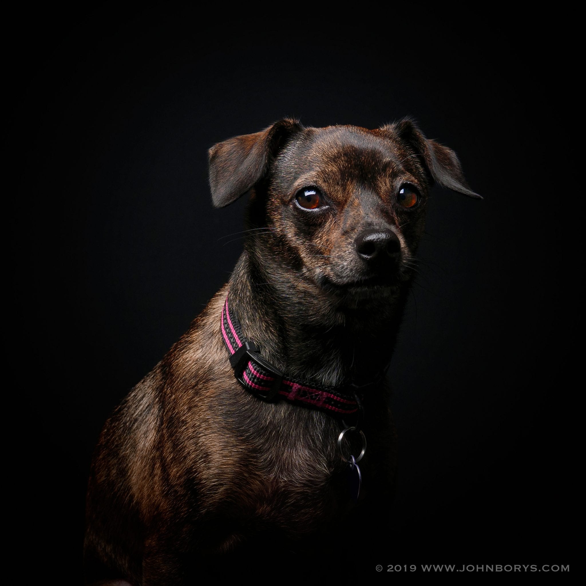 The “little ones.”